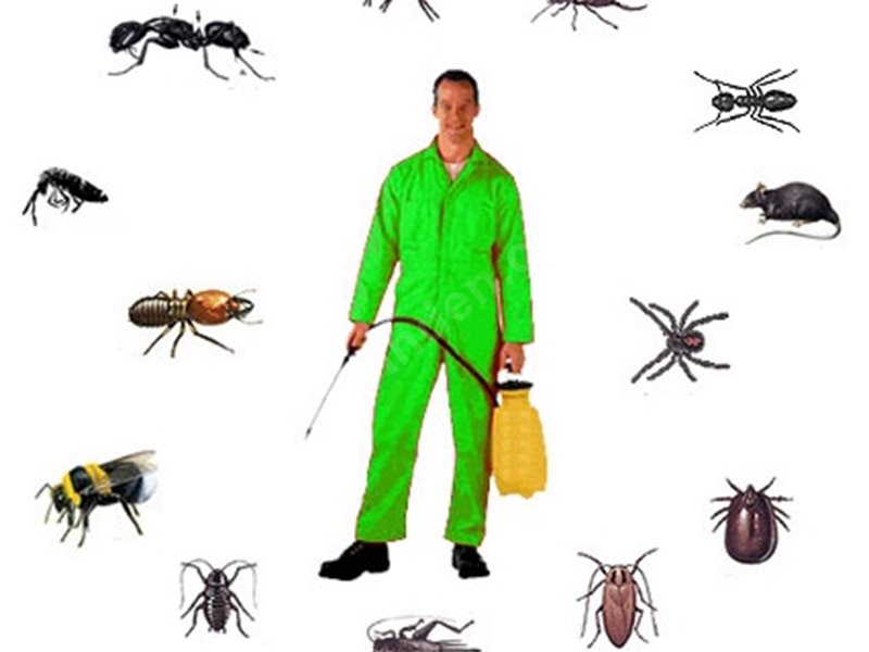Kağıthane Böcek İlaçlama