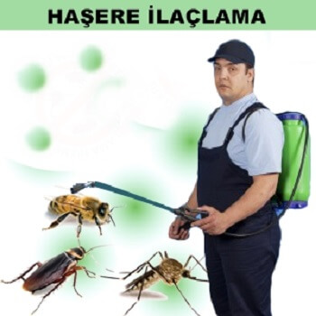 Kağıthane Böcek İlaçlama